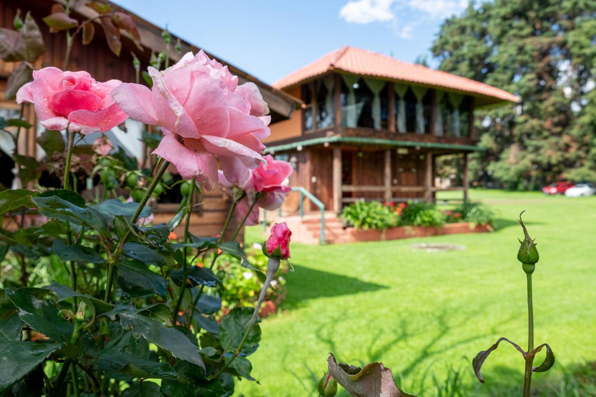 Zirahuen Forest And Resort Buitenkant foto